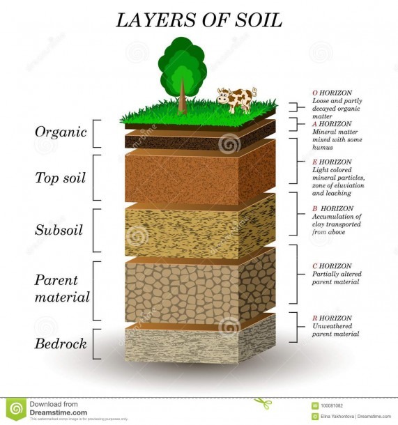 Layers Of Soil, Education Diagram  Mineral Particles, Sand, Humus