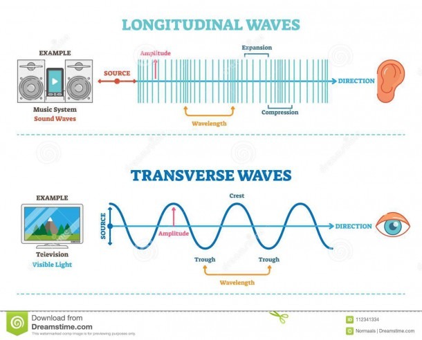 Longitudinal And Transverse Wave Type, Vector Illustration