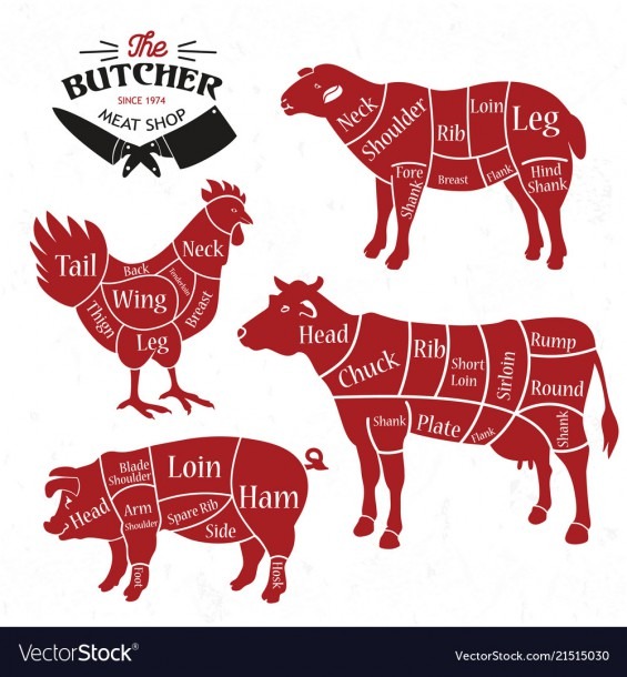 Meat Cuts Diagrams For Butcher Shop Animal Vector Image