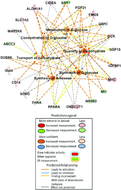 Mechanistic Diagram Of Selected Pathways Involved In The