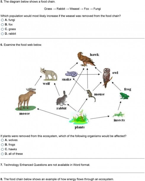 Gray Wolf Food Chain Diagram Biology Diagrams
