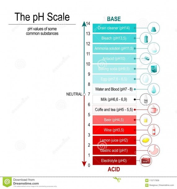 Ph Scale  Vector Diagram Stock Vector  Illustration Of Coffee