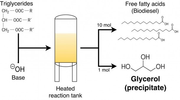 Medicine Manufacturing Process Flow Chart