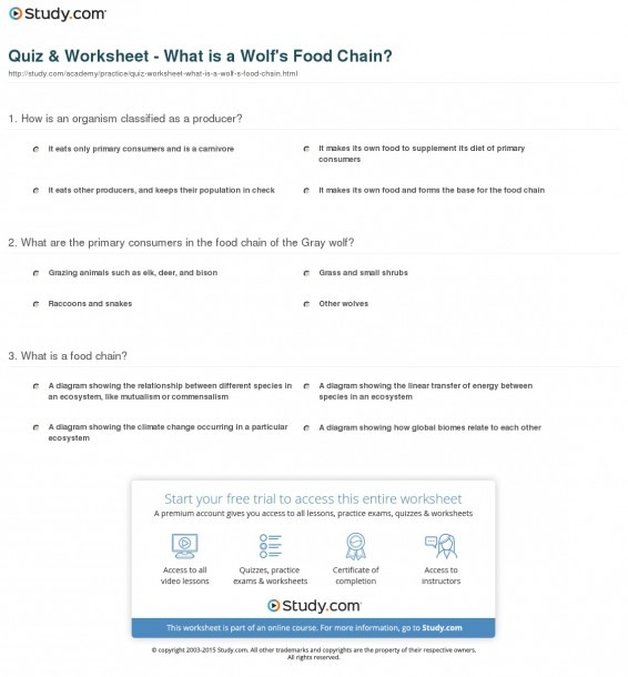 Quiz & Worksheet