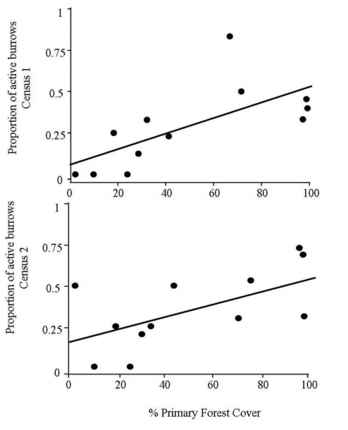 Relationship Between Primary Forest Cover And The Proportion Of