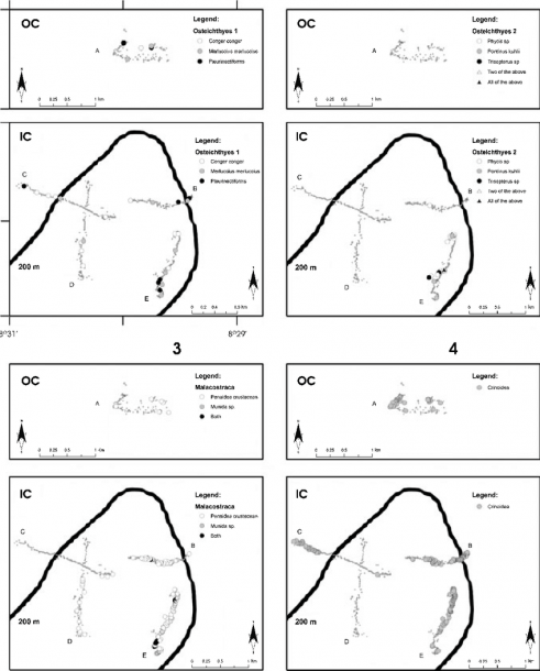 Spatial Distribution Of Selected Detected Organisms  Bony Fishes