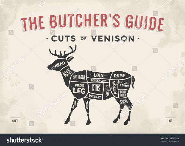 Cut Meat Set Poster Butcher Diagram Stock Vector (royalty Free