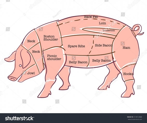 â¤ Diagram Pig Body Parts Diagram Mike