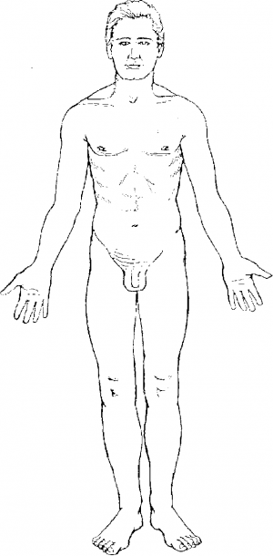 The Anatomical Position'', In Mikel A  Rothenberg, Anatomy And