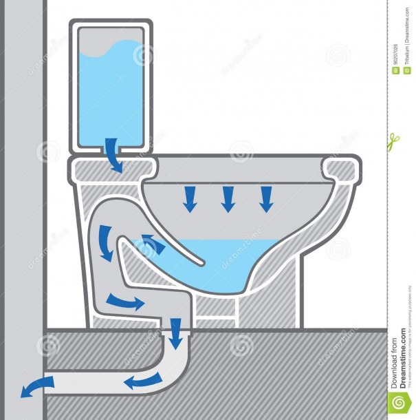 Diagram Of Toilet Bowl