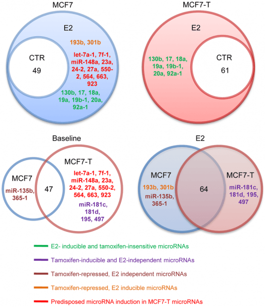 Venn Diagram Of Differentially Transcribed Micrornas In Breast